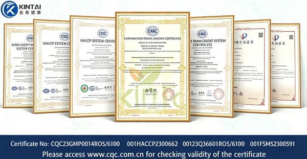 KINTAI Certifications KINTAI Certifications