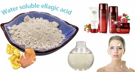 Ellagic Acid for Skin Ellagic Acid for Skin