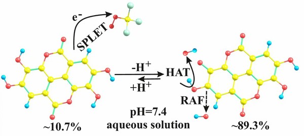 Ellagic Acid Benefits Ellagic Acid Benefits