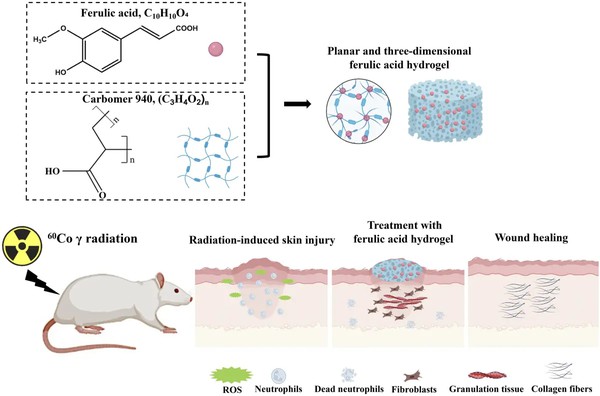 20260330132909056 20260330132909056