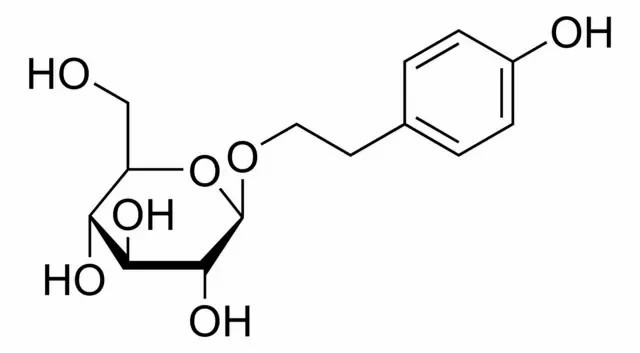 Physicochemical Properties Of Salidroside Physicochemical Properties Of Salidroside
