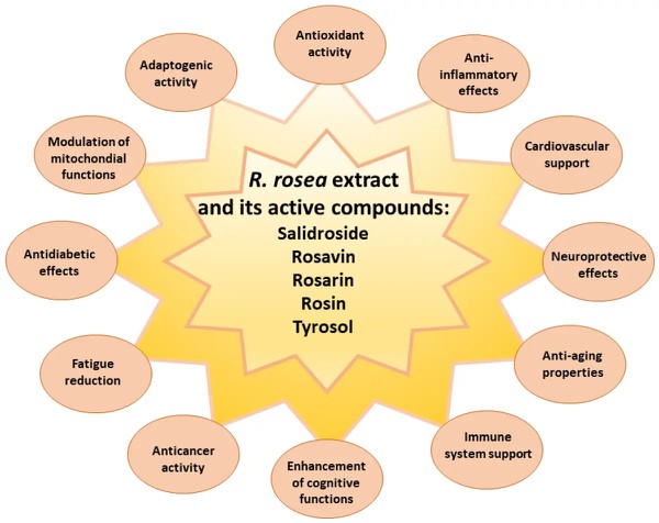 Antioxidant And Anti-Aging Antioxidant And Anti-Aging