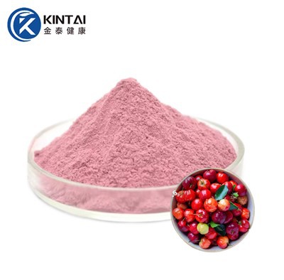 Acerola-kersenextractpoeder
