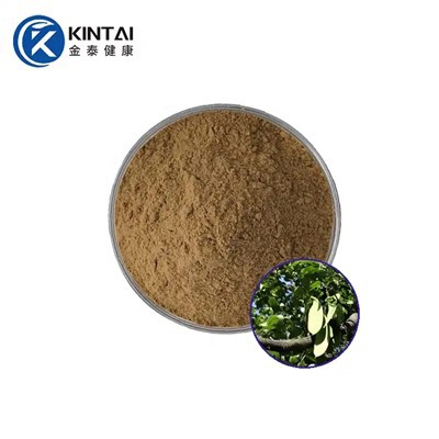 Quillaja Saponaria Zeepschorsextract